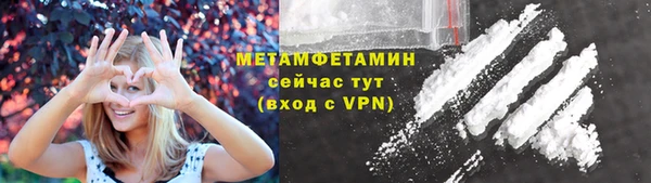 шишки Осинники