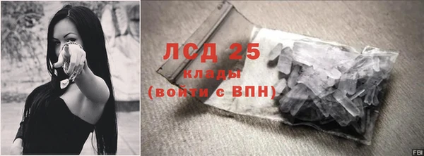 шишки Осинники