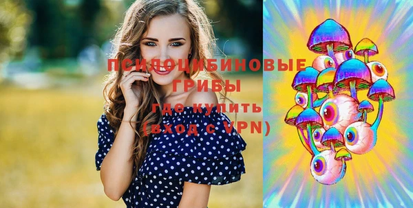 кокс Осташков