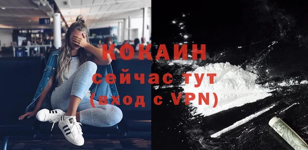 шишки Осинники