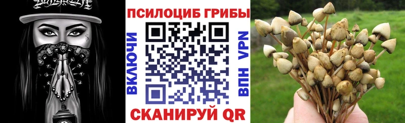 Псилоцибиновые грибы MAGIC MUSHROOMS  Унеча 