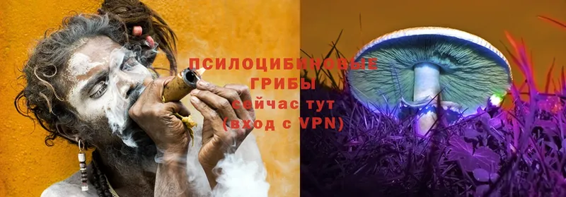 Псилоцибиновые грибы ЛСД  Унеча 