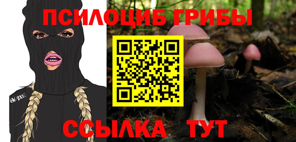 Галлюциногенные грибы прущие грибы  Вход с VPN  Унеча  Псилоцибиновые грибы прущие грибы 