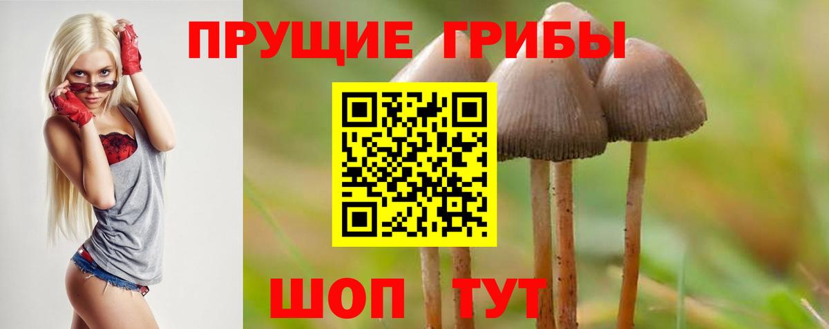 Галлюциногенные грибы прущие грибы Унеча