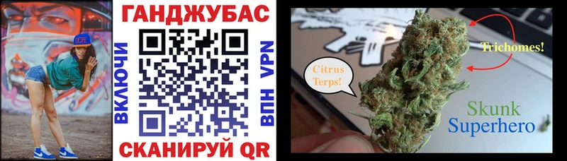 где продают наркотики  kraken как зайти  Шишки марихуана план  Унеча 