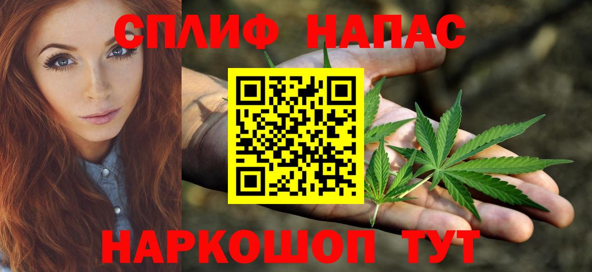 Унеча  Каннабис планчик  Каннабис семена  Вход с VPN  Каннабис планчик 